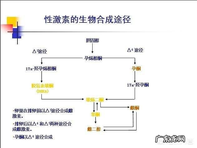 想要检查性激素六项,可不可以吃黄体酮促月经?为什么?