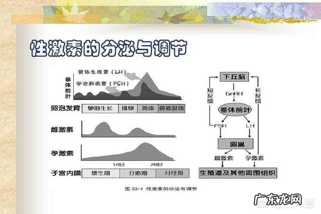 想要检查性激素六项,可不可以吃黄体酮促月经?为什么?