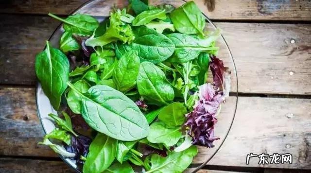 生活中抗癌食物有哪些?科学原理又是什么? 十个抗癌食物有哪些