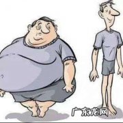 一天只吃水果会胖吗？为什么？