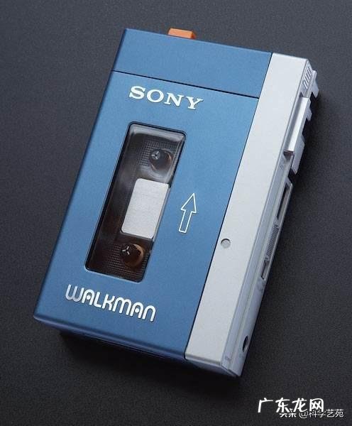 山东哪个地市的经济发展潜力最大?