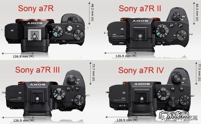 山东哪个地市的经济发展潜力最大?