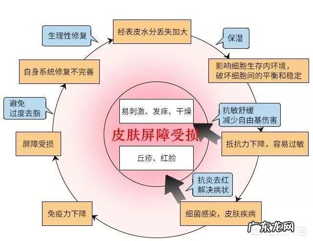 激素脸为什么不能正常排汗出汗对皮肤有什么好处