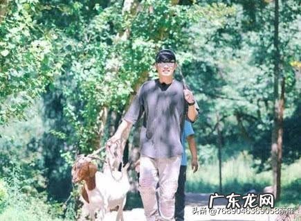 如何评价《向往的生活》中张子枫的表现?