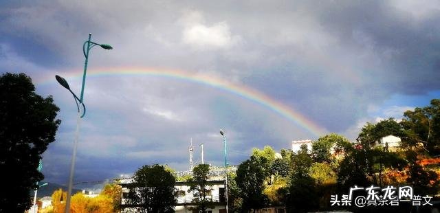 哪些茶有收藏价值与增值空间? 收藏什么茶古董茶最有价值