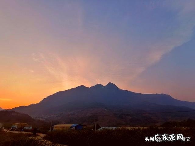 哪些茶有收藏价值与增值空间? 收藏什么茶古董茶最有价值