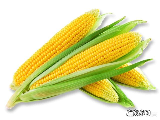 有哪些高能量食物是肾病患者可以吃的?