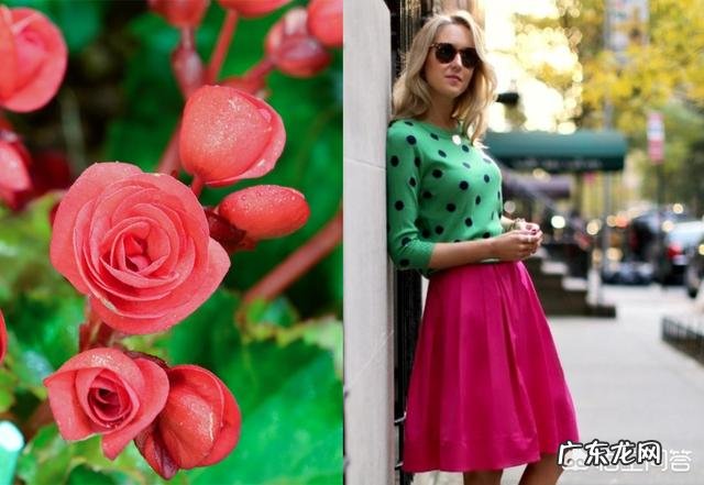 能找不认识的人结伴旅行吗