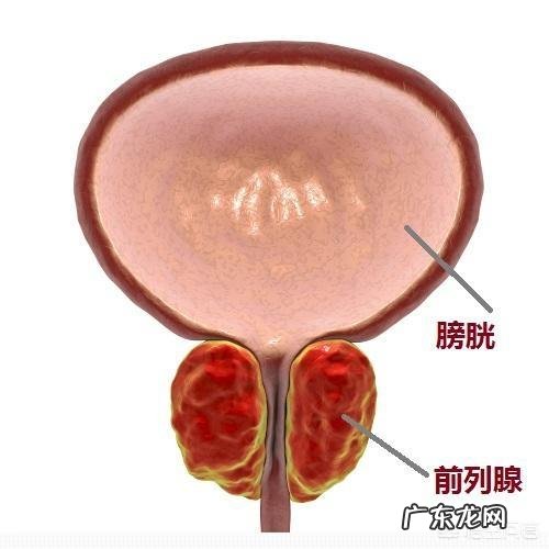 喝酒太多导致前列腺损伤,该怎么调理