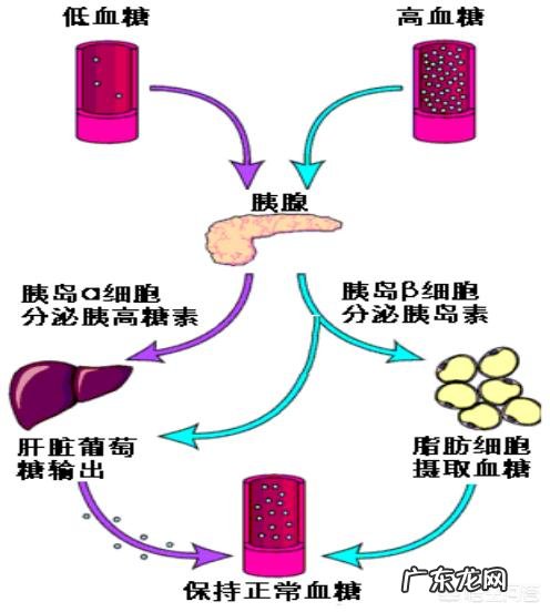 什么是高血糖正常人的血糖标准是多少