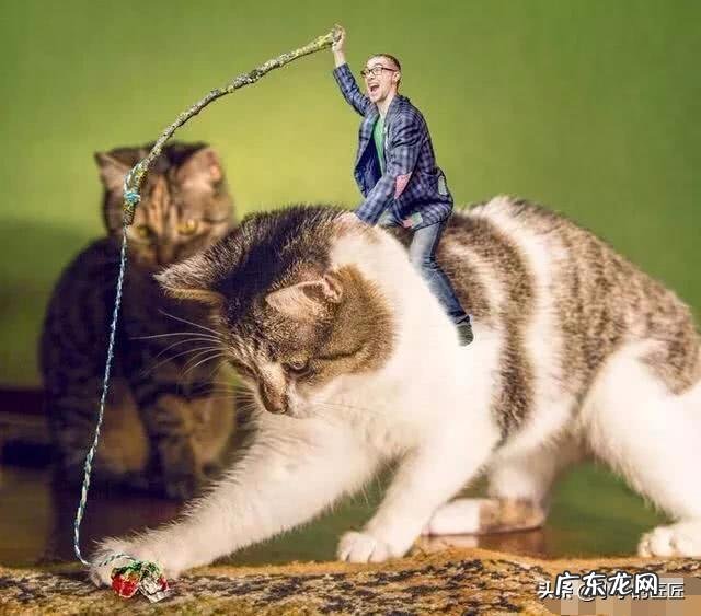 如果人类身高变小十倍,世界会是什么样