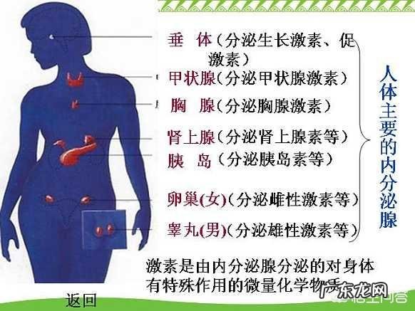 没有甲状腺身体会出现什么毛病