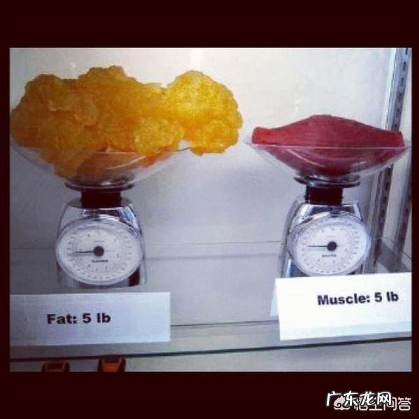 普通女性是否有进行抗阻训练的必要性？