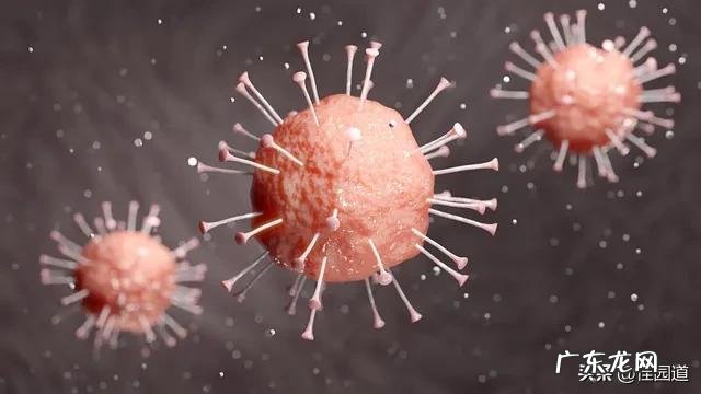 吃哪些食物可以减少癌细胞扩散？ 癌细胞最怕哪四种食物