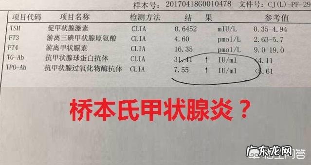 甲状腺功能的各项指标有哪些意义