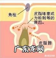 你是否尝试过做菜?好吃吗?