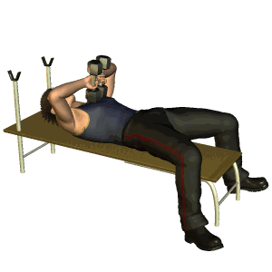 手臂上部拜拜肉突出,如下图,该怎样锻炼瘦手臂? 如何练出手臂力量且瘦手臂