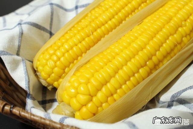 主食把米饭改为玉米或紫薯,坚持一个月能减肥吗?