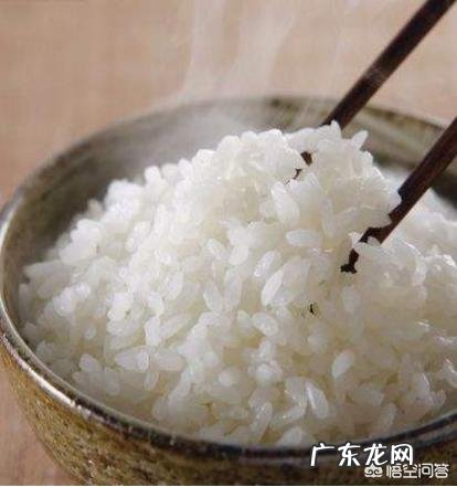 减脂时,饮食应该控制摄入脂肪还是碳水?