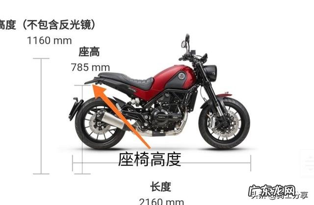 身高168,体重65,想入手贝纳利幼狮500,希望给个建议