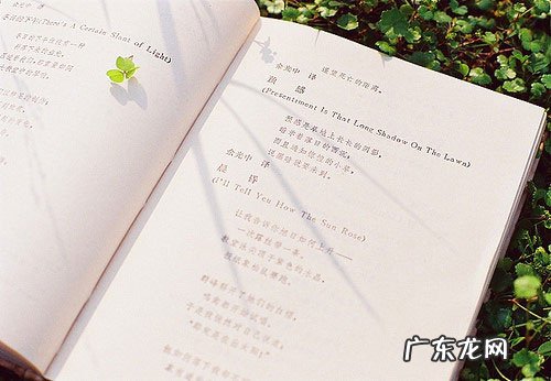 背弃了理想谁人都可以