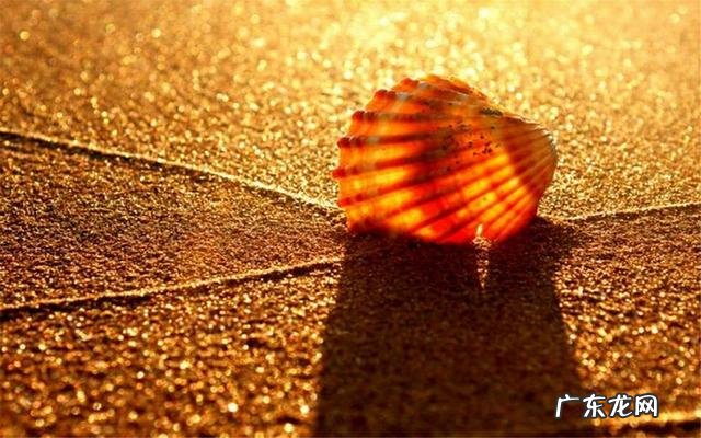 你认为一个女生需要精致吗?为什么?