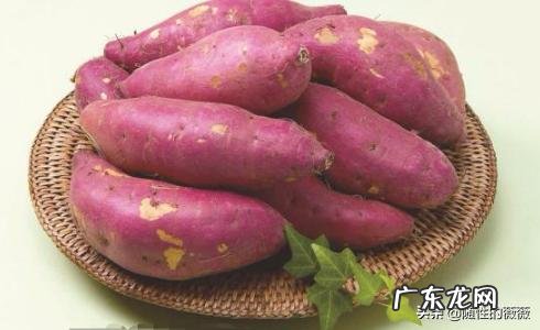 锻炼后没有蛋白粉吃,吃什么食物搭配能有效的长肌肉?