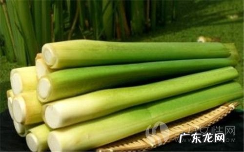 茭白什么人不能吃 哪些人适合吃茭白