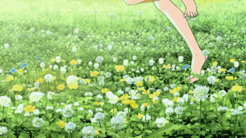 什么东西泡水喝对皮肤好还不会胖?