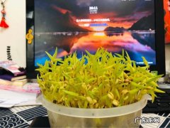 血糖不高、吃饭正常，身体却乏力消瘦，是怎么回事？