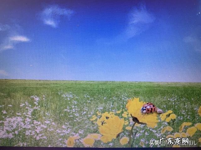 母乳喂养孩子的妈妈如何健康减肥? 母乳喂养怎么减肥快速瘦下来