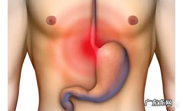 胃病一直反复,中药和西药也服用过,吃完东西胃反酸,怎么办好?