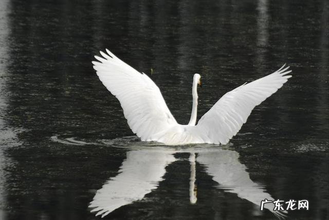 如何才能靠自己战胜抑郁症?