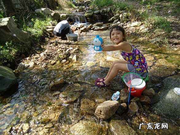 快乐暑假的内容怎么写?