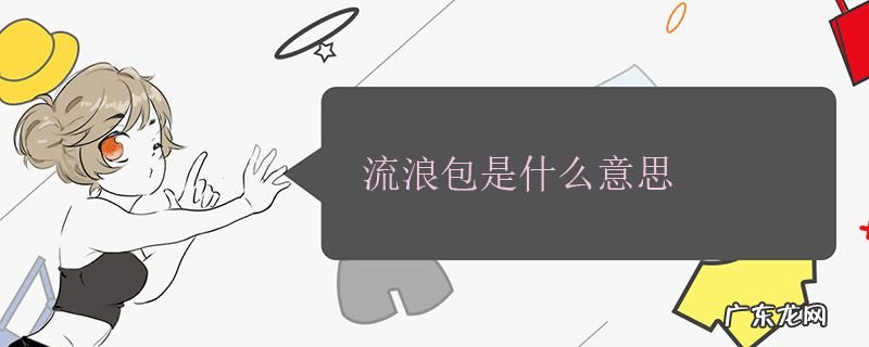 流浪包是什么意思