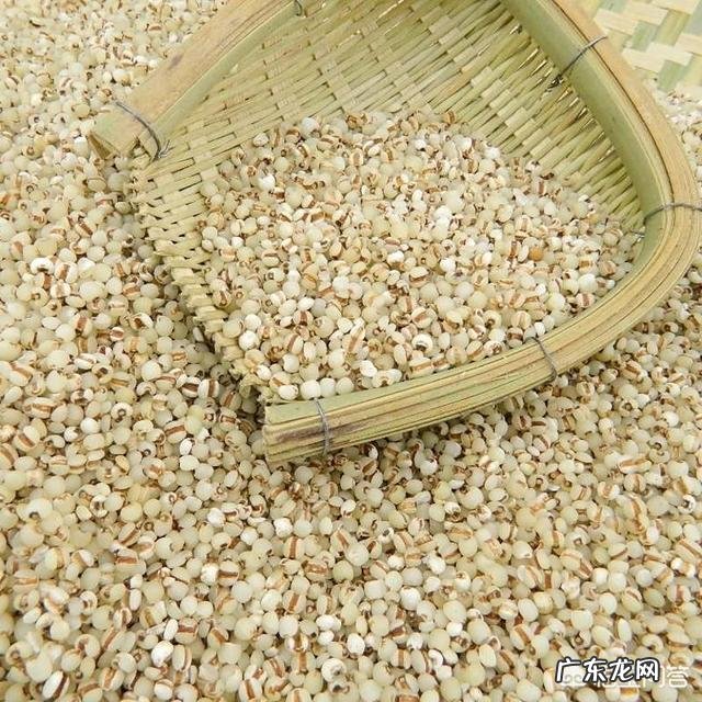 常吃薏米红豆粥,对人体有什么影响? 黑米红豆薏米粥的正确做法