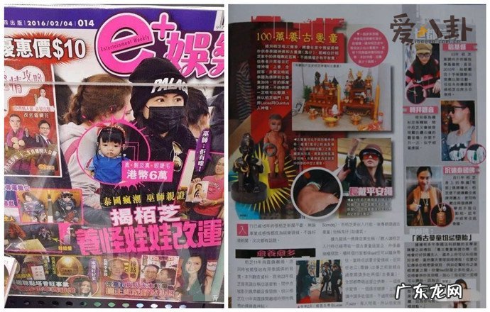 张柏芝养小鬼细节 养了四只小鬼之多并反噬张柏芝