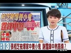 张柏芝养小鬼细节 养了四只小鬼之多并反噬张柏芝