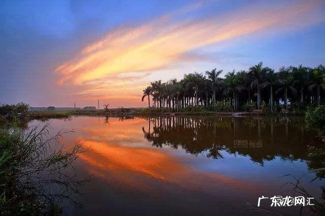 在你的印象中,夏天的味道是什么? 你对夏天的印象是什么