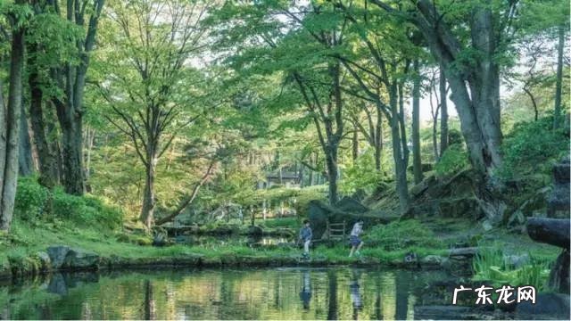 日本游可以只会英语吗?旅游时要注意什么?