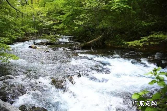 日本游可以只会英语吗?旅游时要注意什么?