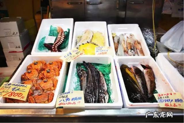 日本游可以只会英语吗?旅游时要注意什么?