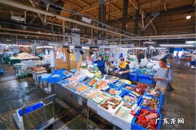 日本游可以只会英语吗?旅游时要注意什么?