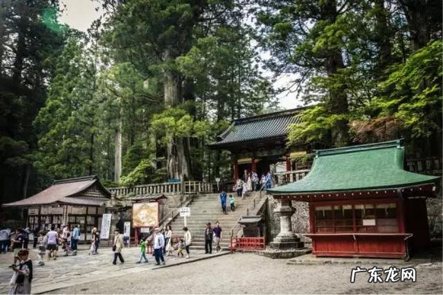 日本游可以只会英语吗?旅游时要注意什么?