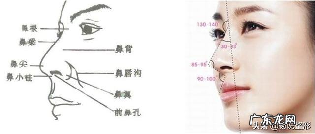 隆鼻后鼻头大怎么办 隆鼻鼻头太长怎么修复