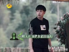 《向往的生活》第三季开播，遭遇了哪些吐槽？