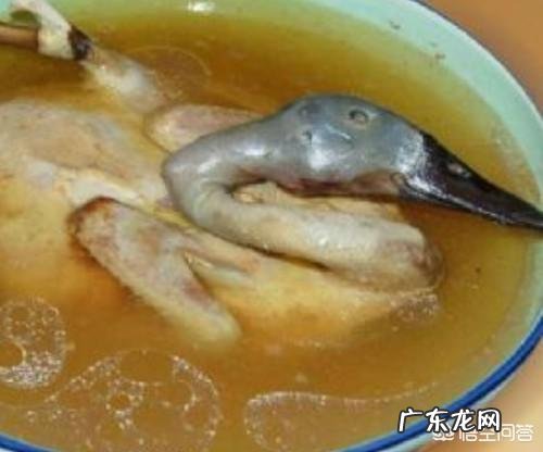 亲们，有谁知道鸭子红薯汤怎么做吗？ 红薯炖鸭子的家常做法