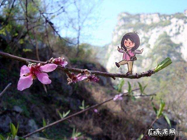 有什么好方法可以每天保持好心情?