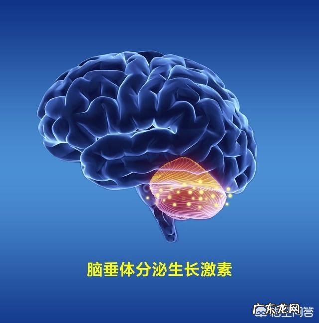 我才33岁,女,已经有很多白头发了怎么办?吃什么可以防止?