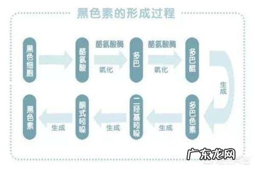 我才33岁,女,已经有很多白头发了怎么办?吃什么可以防止?